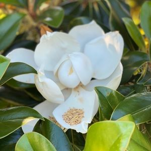 Meet your Posher, Brenna